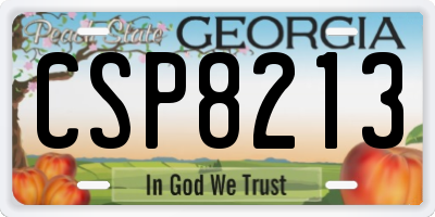 GA license plate CSP8213
