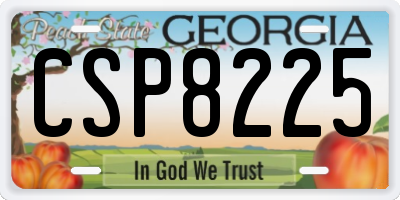 GA license plate CSP8225
