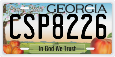 GA license plate CSP8226