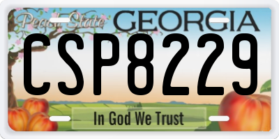 GA license plate CSP8229