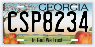 GA license plate CSP8234