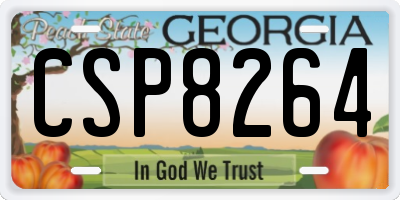 GA license plate CSP8264