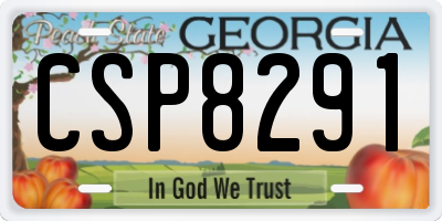 GA license plate CSP8291