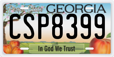 GA license plate CSP8399