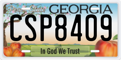 GA license plate CSP8409