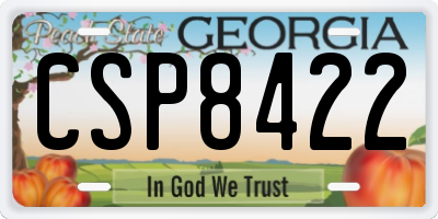 GA license plate CSP8422