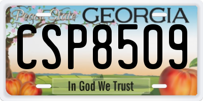 GA license plate CSP8509