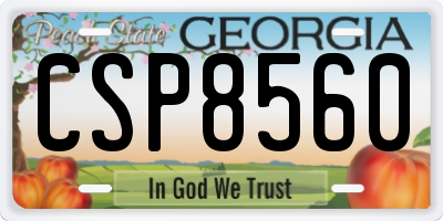 GA license plate CSP8560