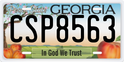 GA license plate CSP8563