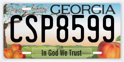 GA license plate CSP8599