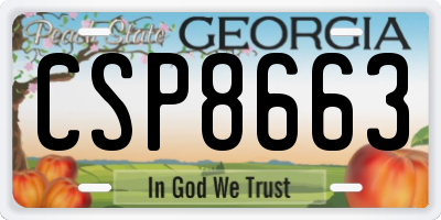 GA license plate CSP8663