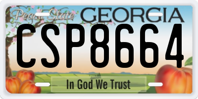 GA license plate CSP8664