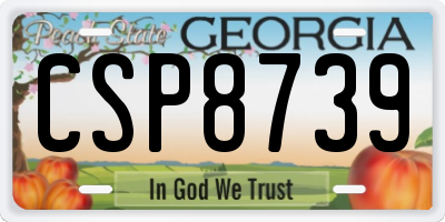 GA license plate CSP8739