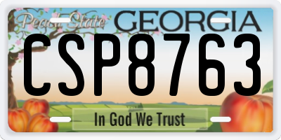 GA license plate CSP8763