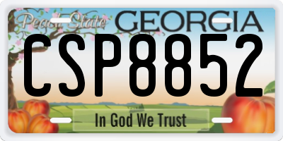GA license plate CSP8852