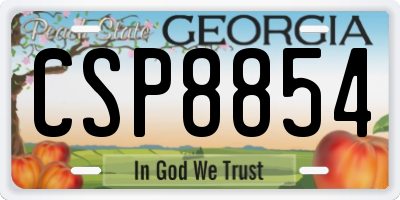 GA license plate CSP8854