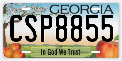 GA license plate CSP8855