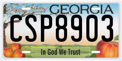 GA license plate CSP8903