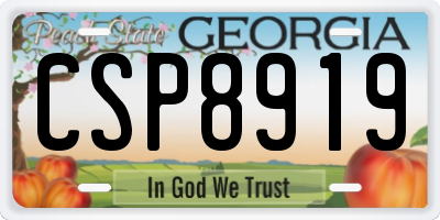 GA license plate CSP8919