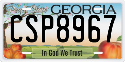 GA license plate CSP8967