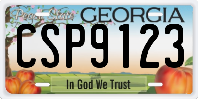 GA license plate CSP9123