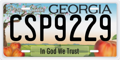 GA license plate CSP9229