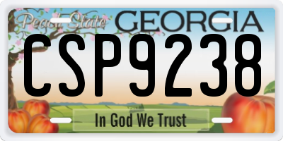 GA license plate CSP9238