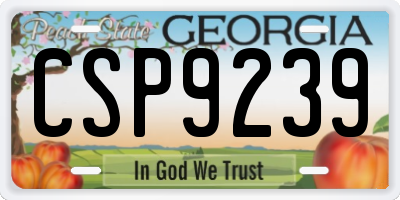 GA license plate CSP9239