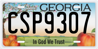 GA license plate CSP9307