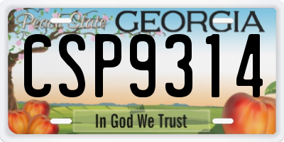 GA license plate CSP9314