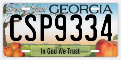 GA license plate CSP9334