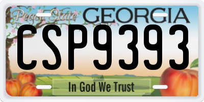 GA license plate CSP9393
