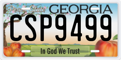GA license plate CSP9499