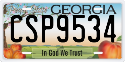 GA license plate CSP9534