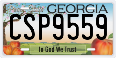GA license plate CSP9559