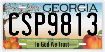 GA license plate CSP9813