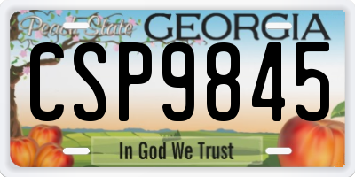 GA license plate CSP9845