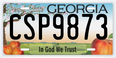 GA license plate CSP9873
