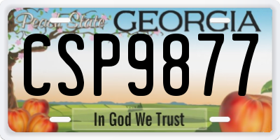 GA license plate CSP9877