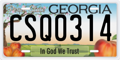 GA license plate CSQ0314