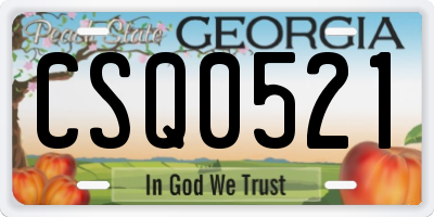 GA license plate CSQ0521