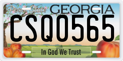 GA license plate CSQ0565