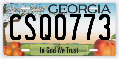 GA license plate CSQ0773