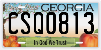 GA license plate CSQ0813