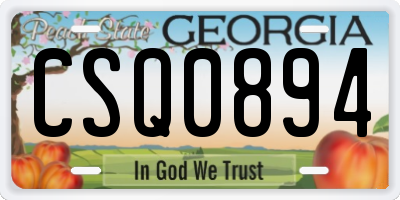 GA license plate CSQ0894