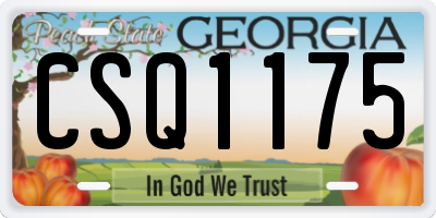 GA license plate CSQ1175