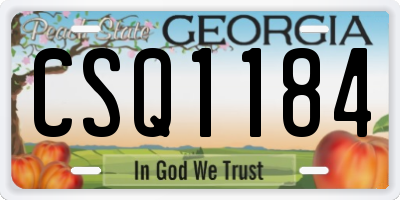 GA license plate CSQ1184