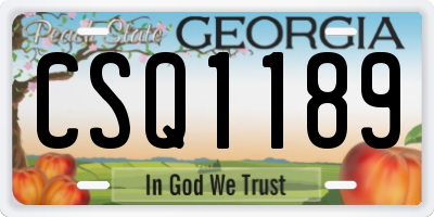 GA license plate CSQ1189