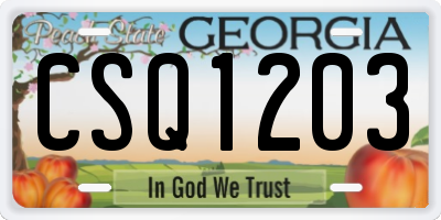 GA license plate CSQ1203