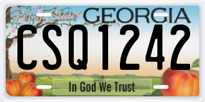 GA license plate CSQ1242